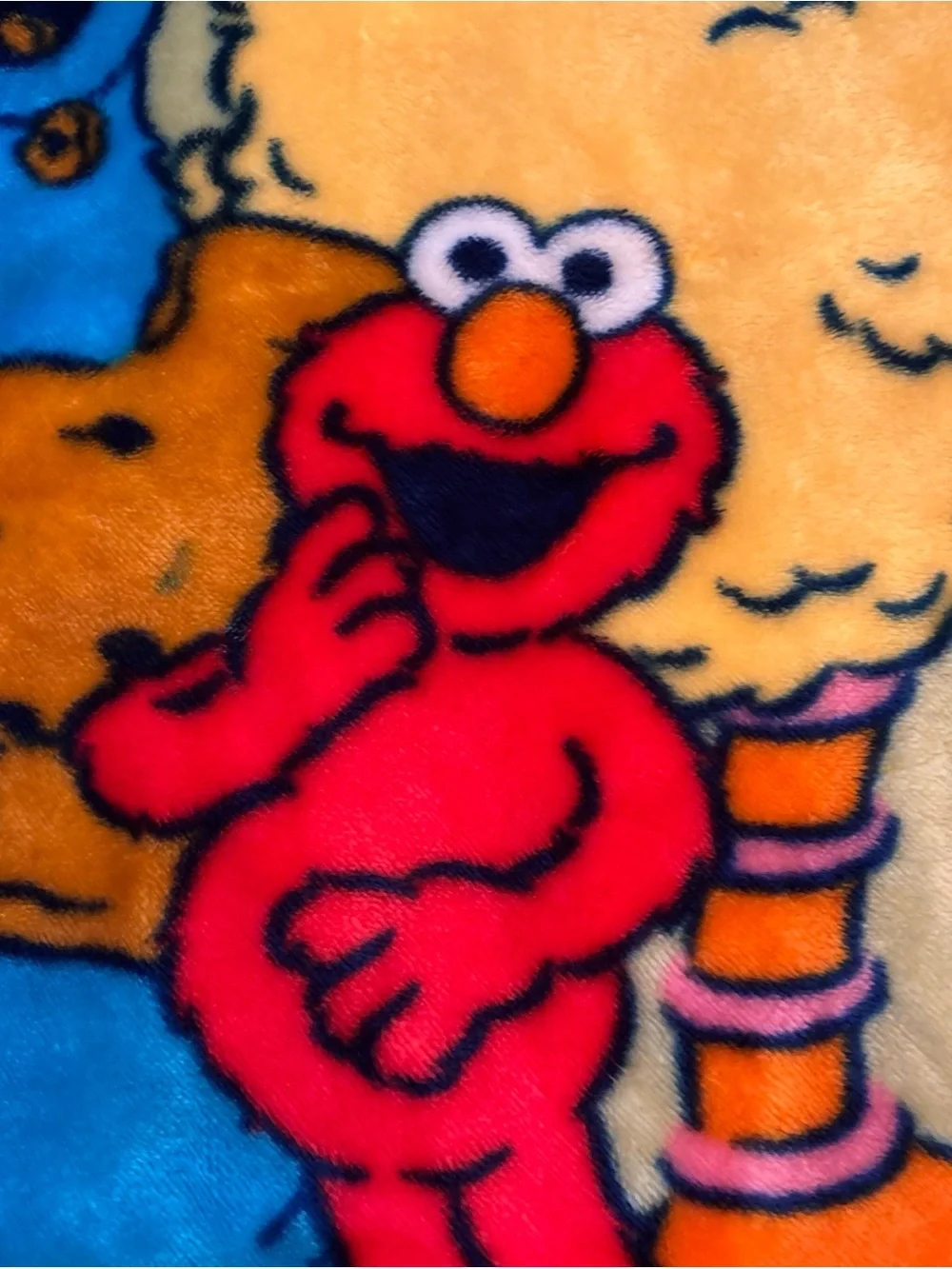 Sesame Street Plush Throw Blanket in Yellow, Blue, Red with Green Background